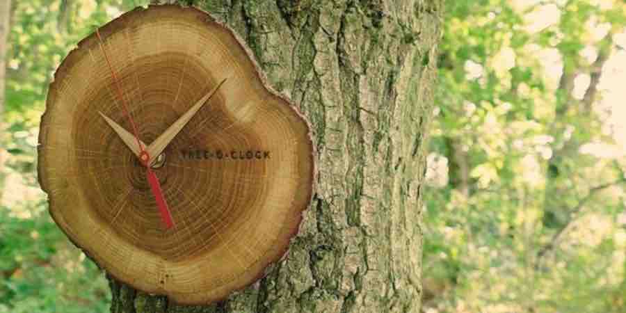 Relojes de pared madera artesanal